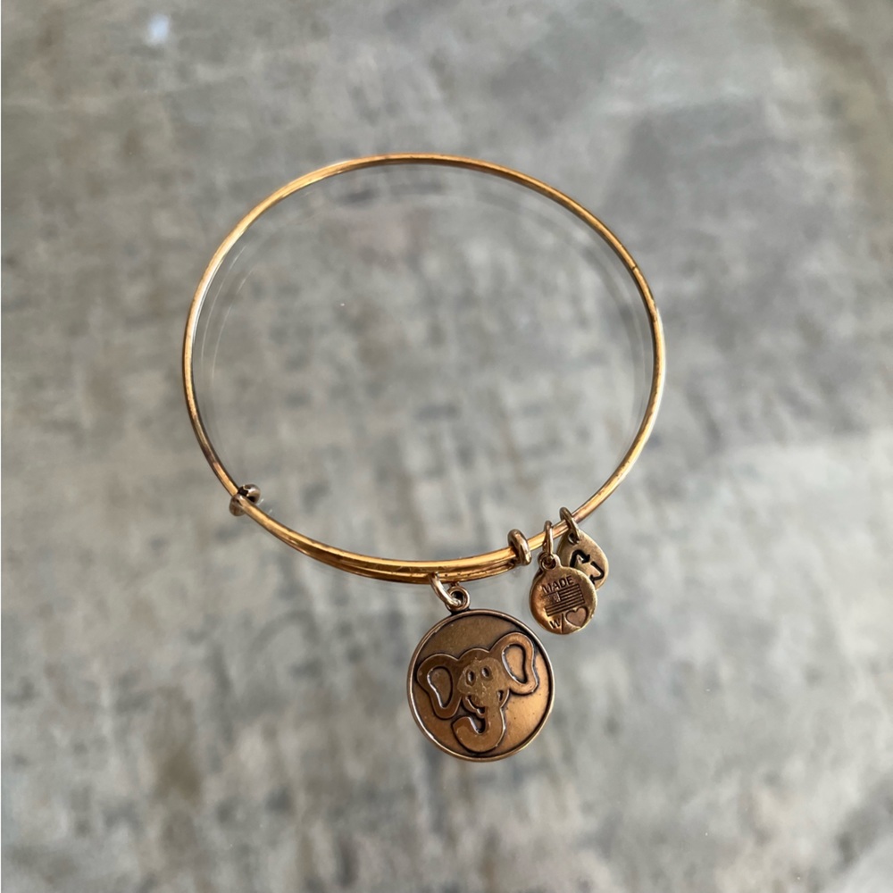 Alex and Ani Elephant Charm Bangle
